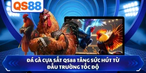 Đá Gà Cựa Sắt QS88 Tăng Sức Hút Từ Đấu Trường Tốc Độ